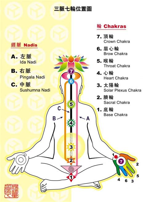 能量光顏色|【靈氣的顏色】靈氣的色彩秘密：揭開你獨特的能量場光譜